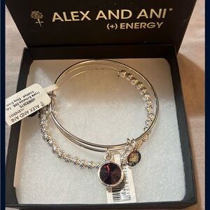 Alex and Ani Silver Purple Bracelet with Adjustable Design
